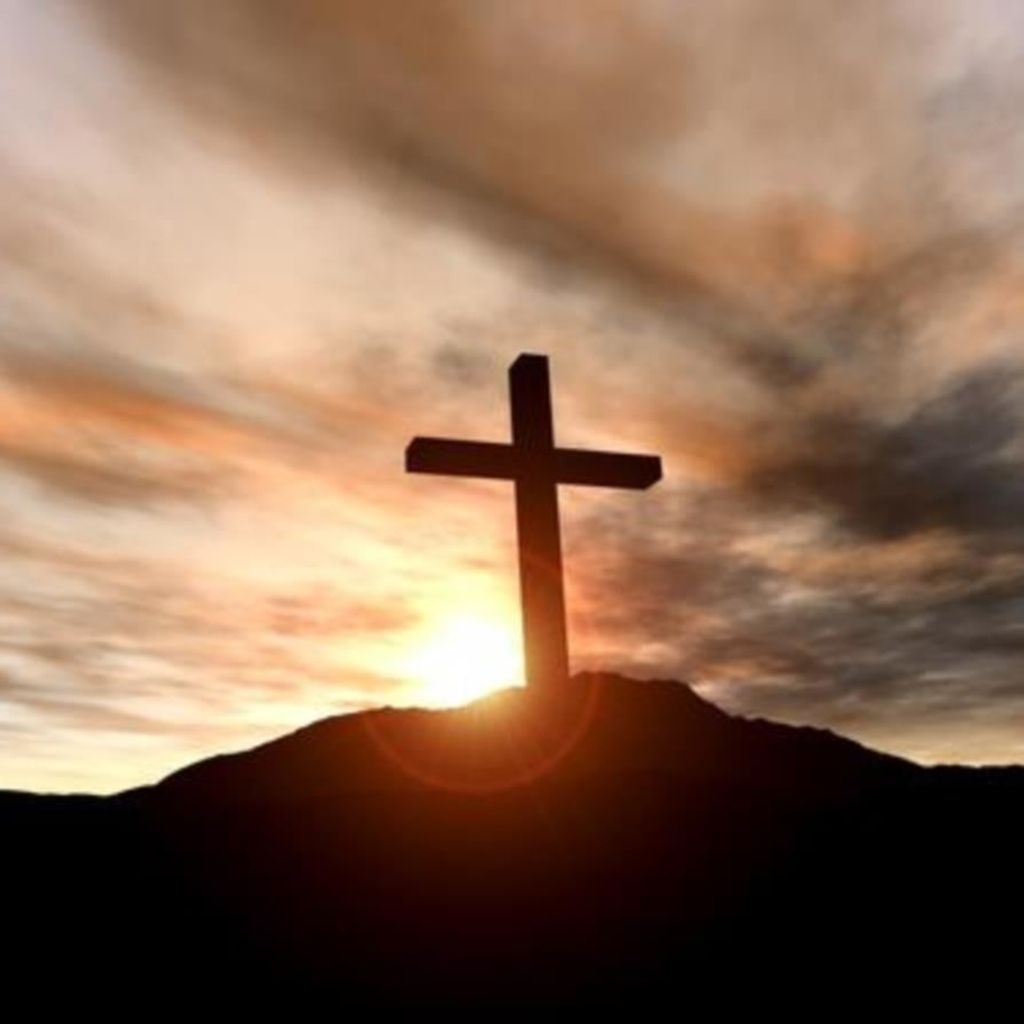 Ferdinando Gutierrez Flores Profile Photo