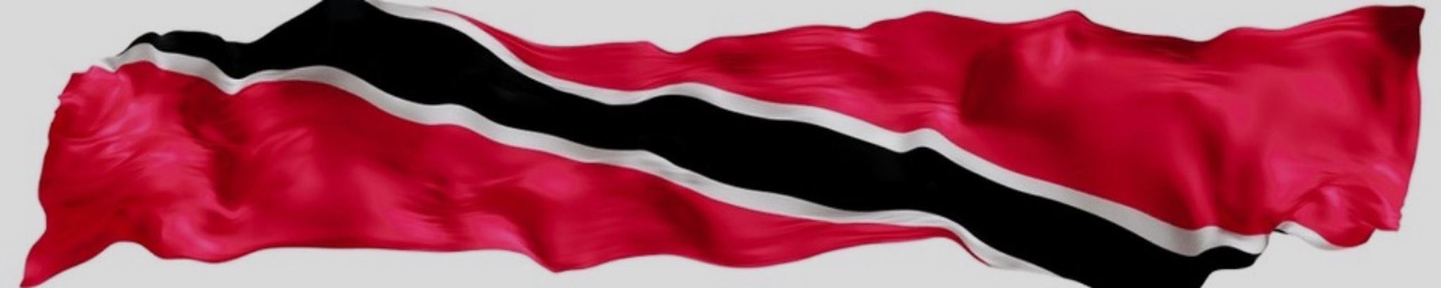 Cover for Roderick Bailey, Sr.'s Obituary