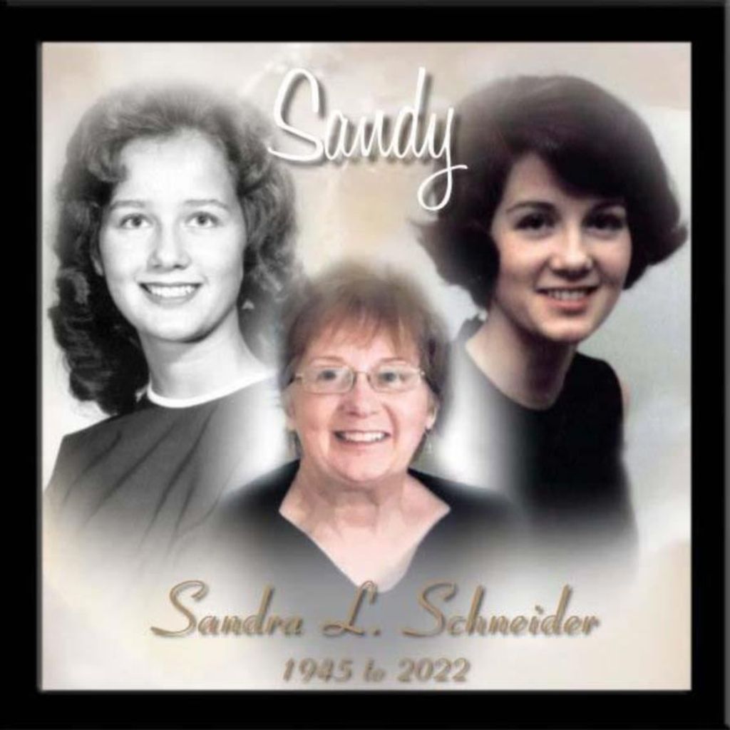 Sandra L. Schneider Profile Photo