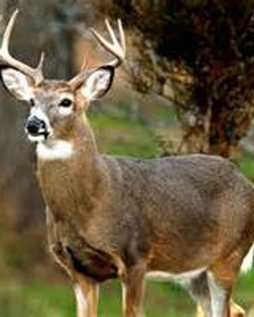 Douglas R Martin Profile Photo