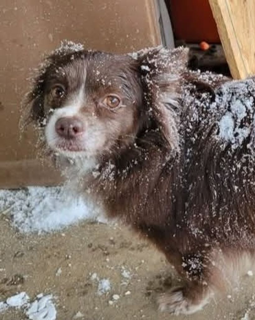 Hades Caudill Profile Photo