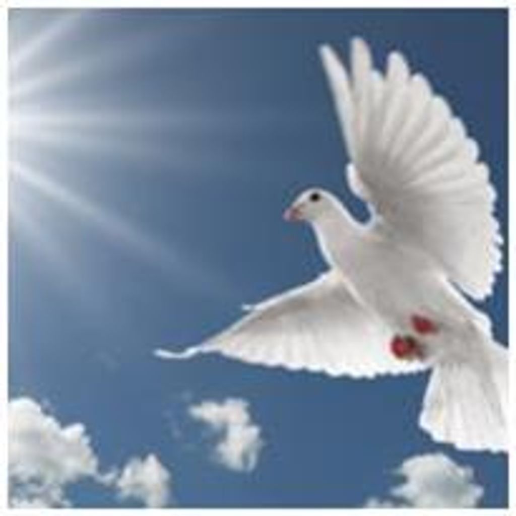 Manuel Velez-Gonzalez Profile Photo