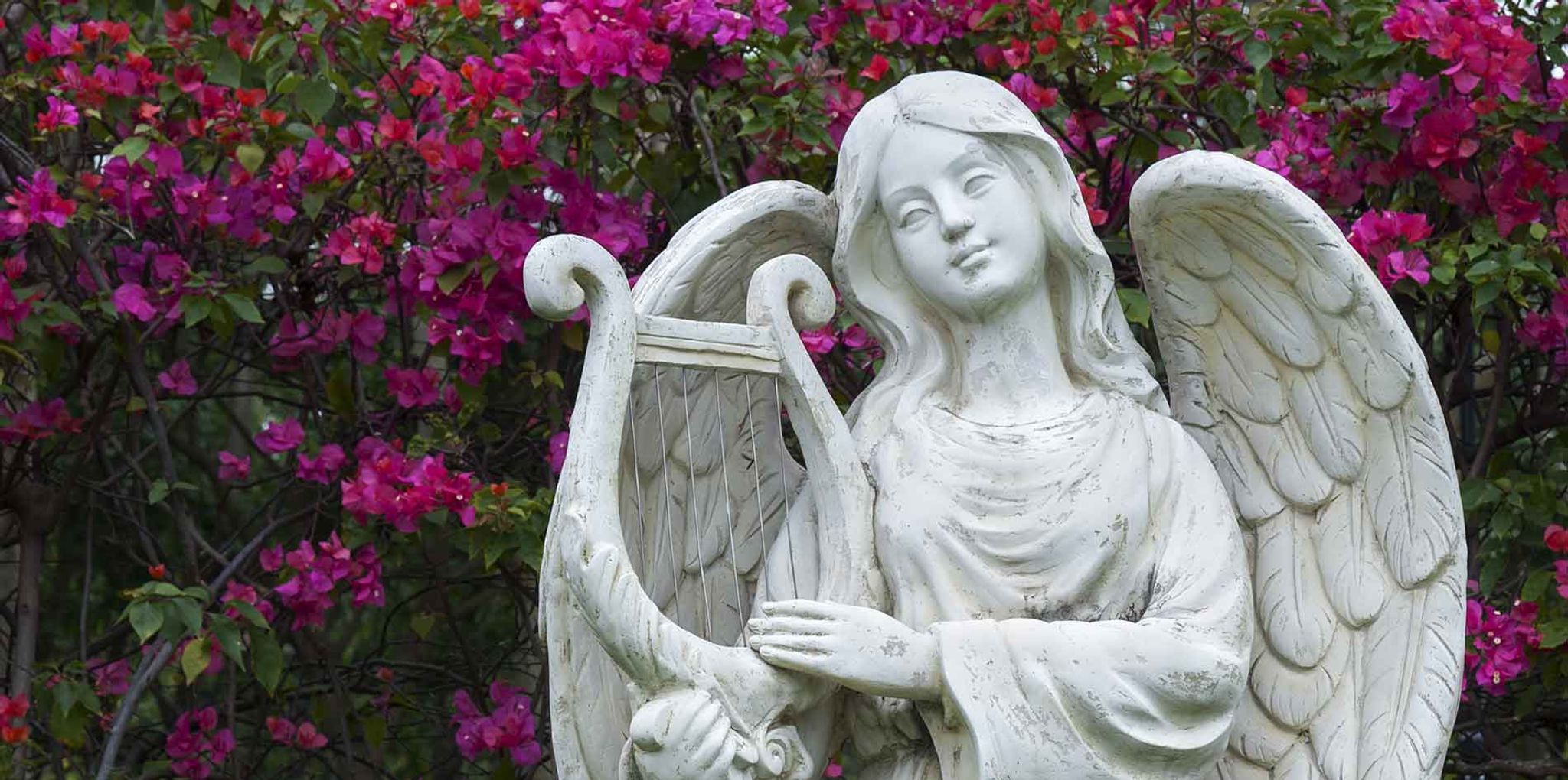 Cover for Elizabeth R Miller's Obituary