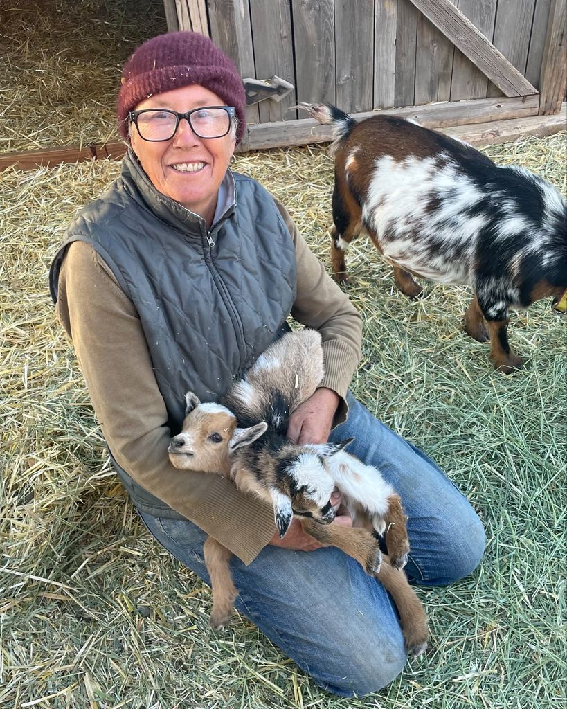 Cristina Masoliver Comella