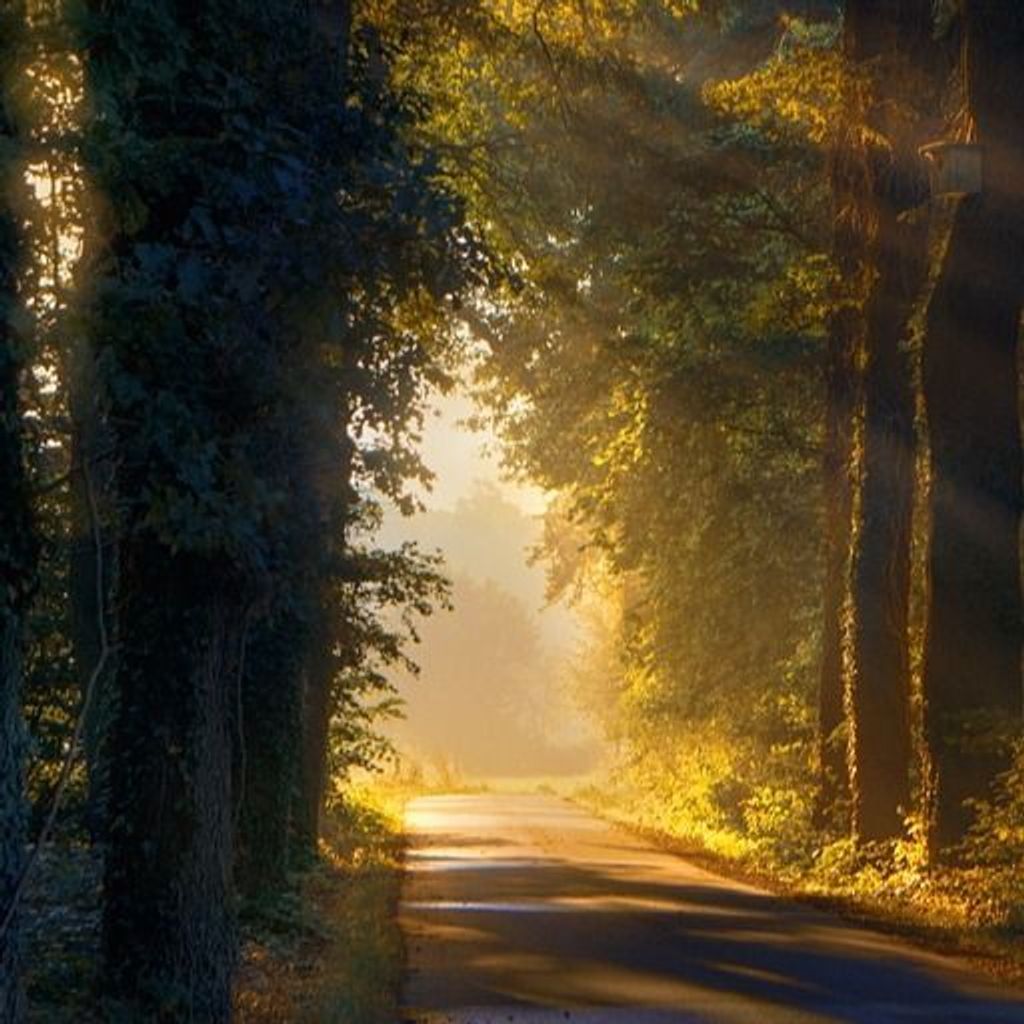 Robert Craig Zwicker Profile Photo