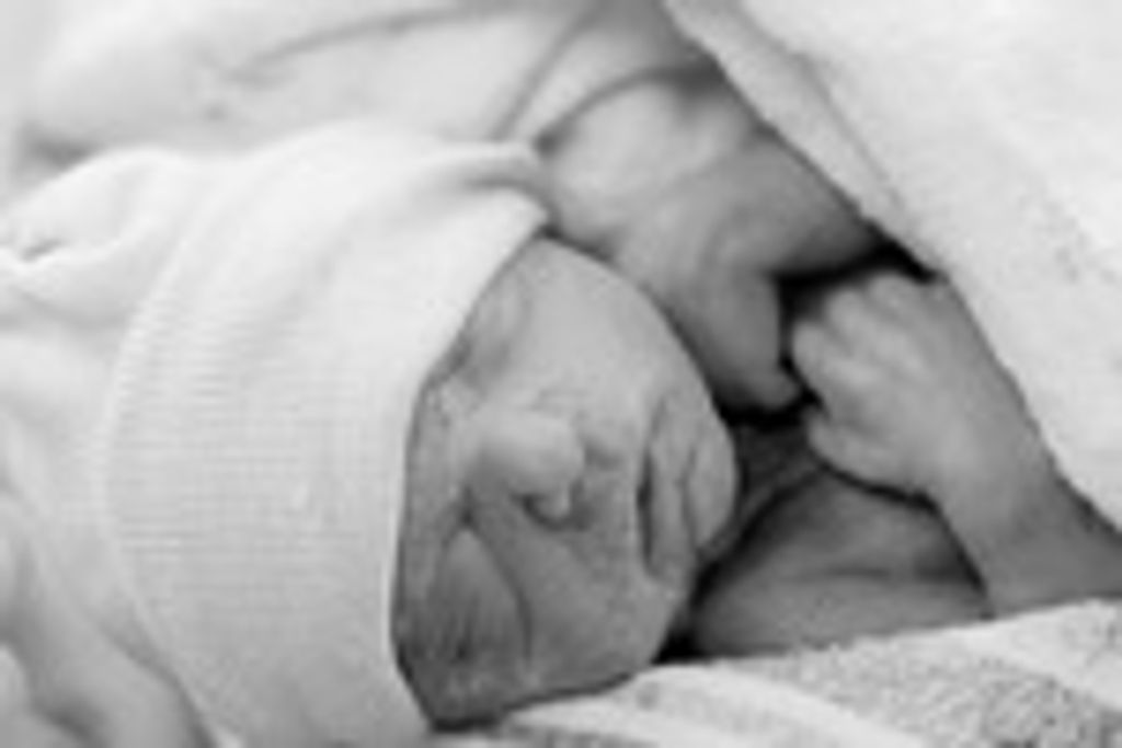 Oliver Matthew Junebug Foster