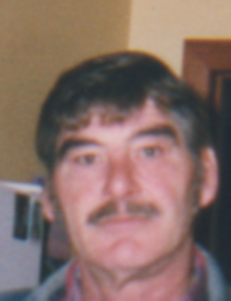 Dennis L Troxell