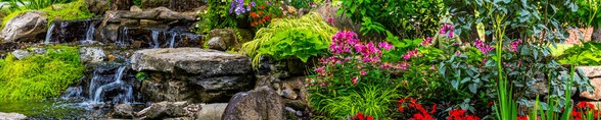 Cover for Elizabeth A. Husain's Obituary