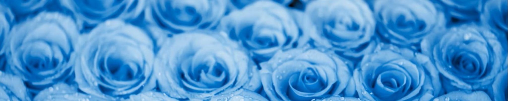 Cover for Dade Moyo Gwaza's Obituary