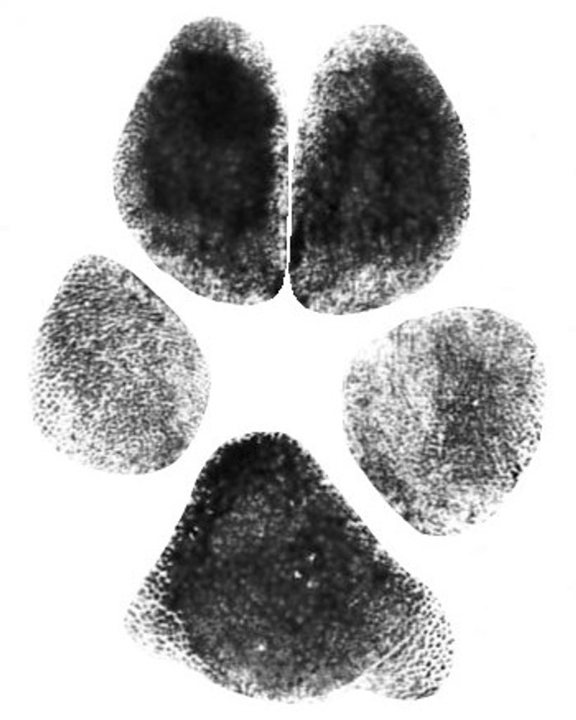 Jonas Dill Profile Photo