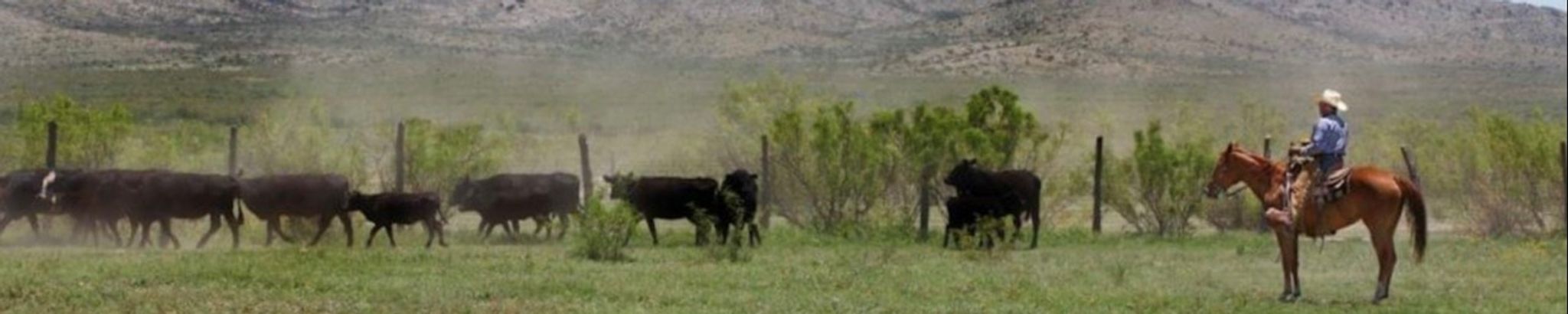 Cover photo for Gerald D. Lyda Jr. ("Dee")'s Obituary