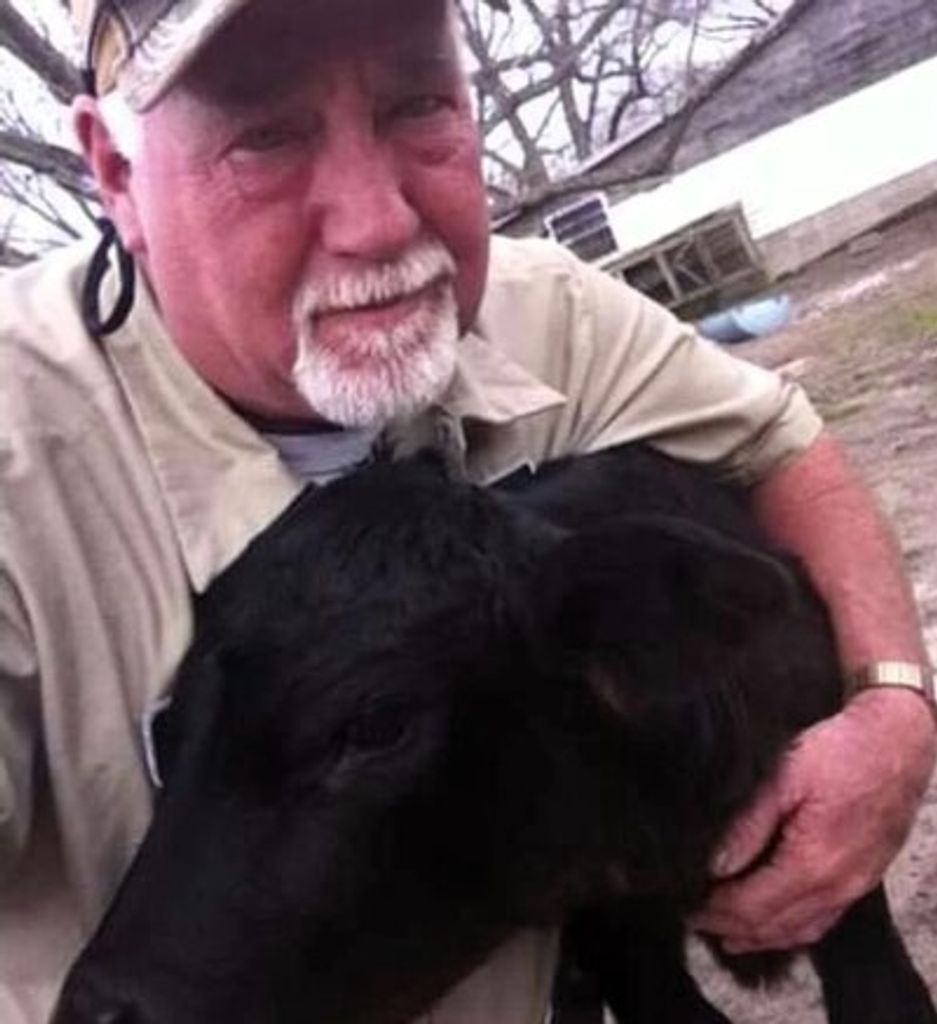 David Williamson Profile Photo