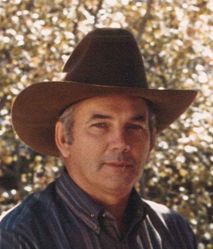 Virgil H. Applebee