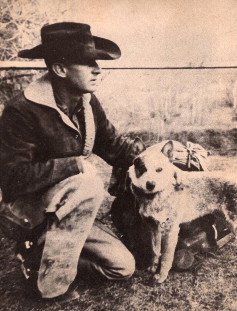 Arling Taylor Austin Profile Photo