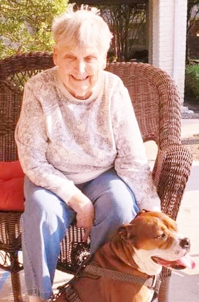 Ann Morse Profile Photo