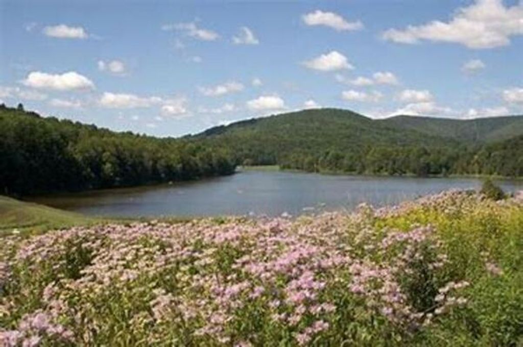 William L. Davis, Jr. Profile Photo