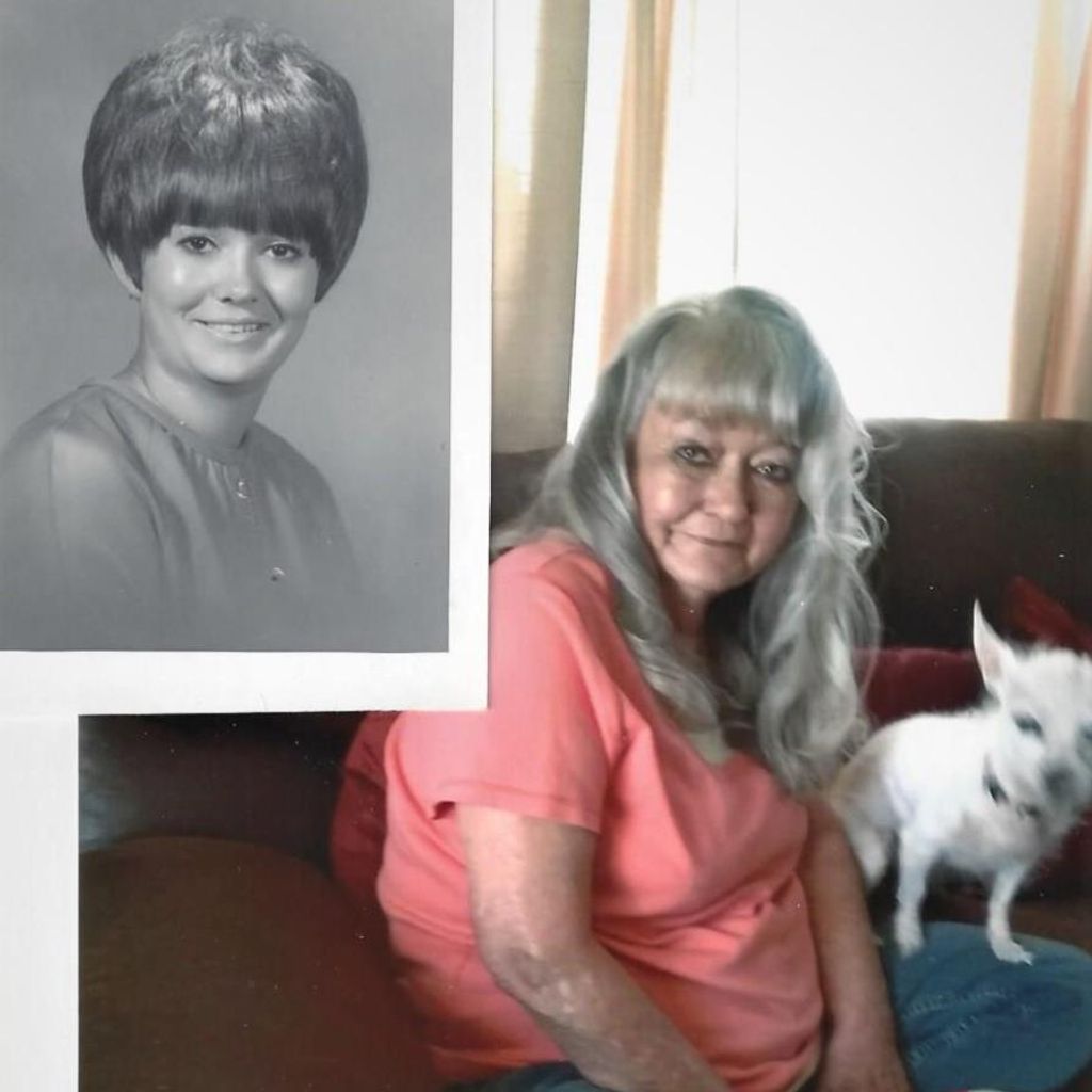 Diana Sue Haynes