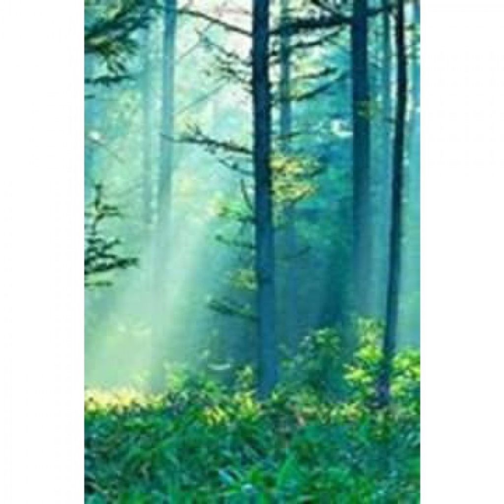 Harmon Theodore Silvers Profile Photo