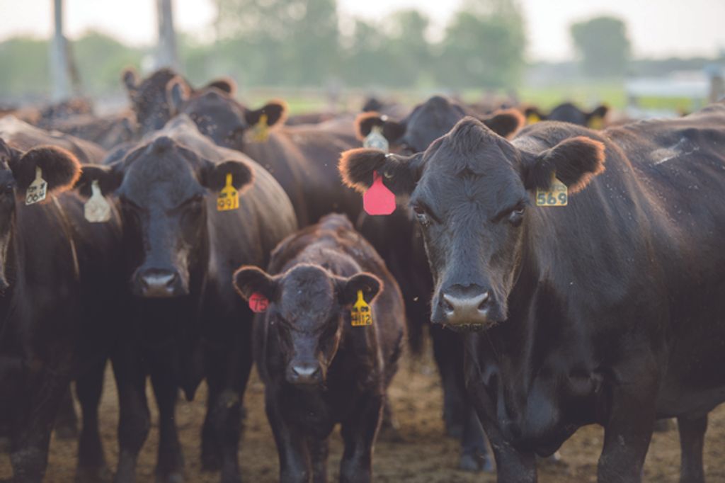 Clay Edward Hewitt Profile Photo