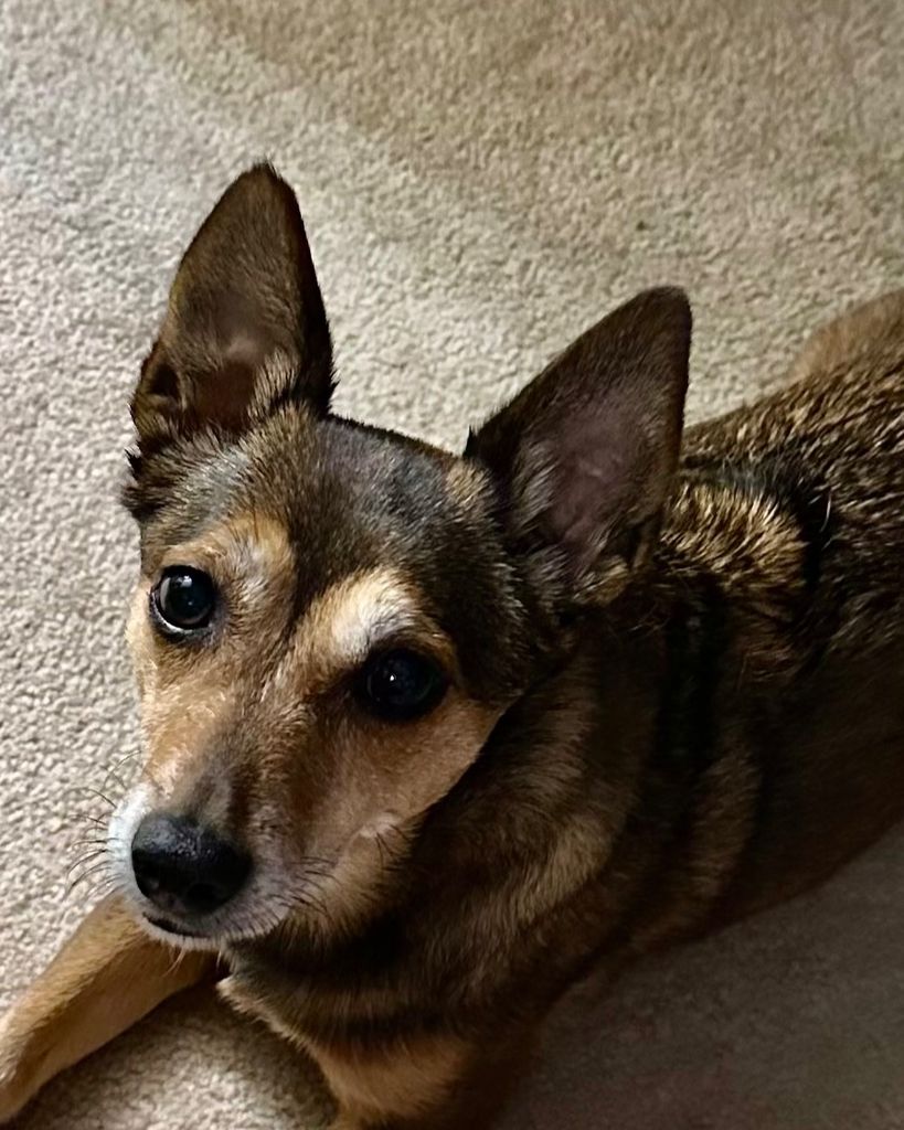 KK Ellison Profile Photo