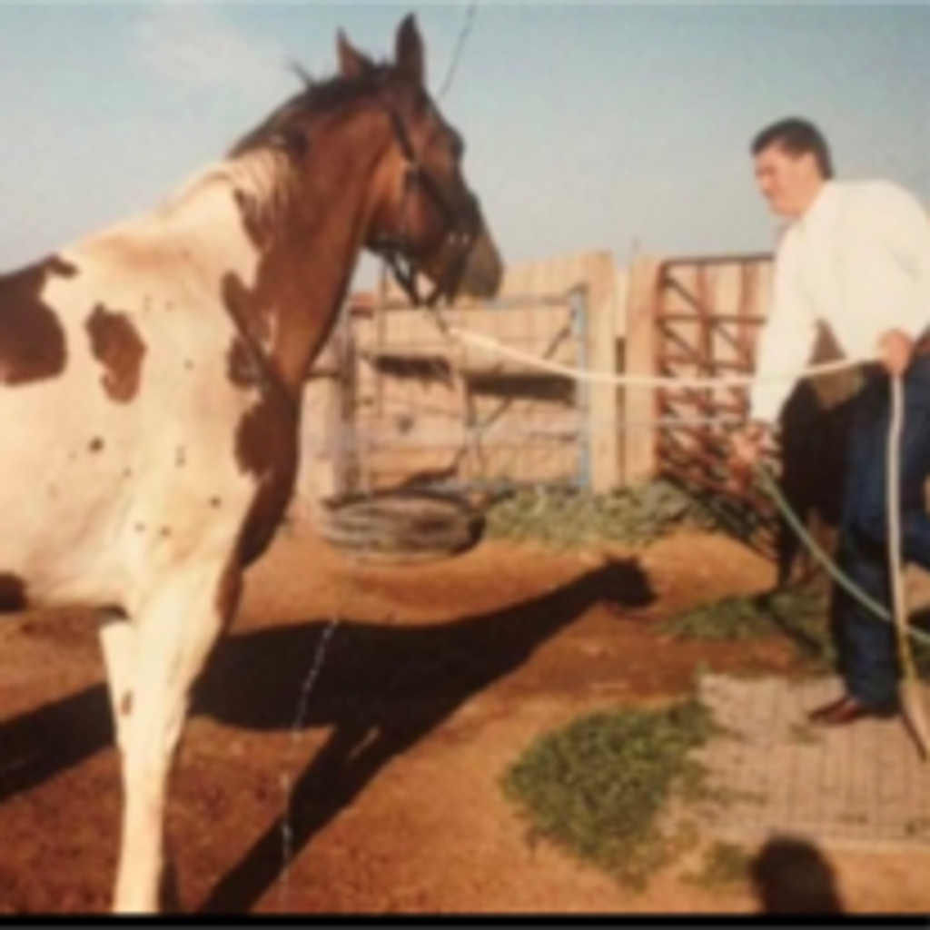 Robert Hayden Mayo Profile Photo