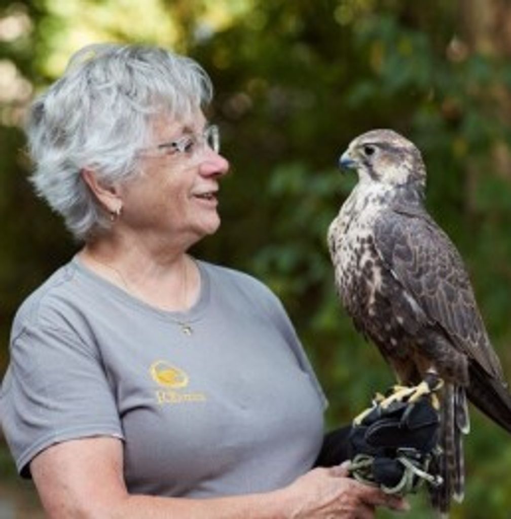 Judy White Profile Photo