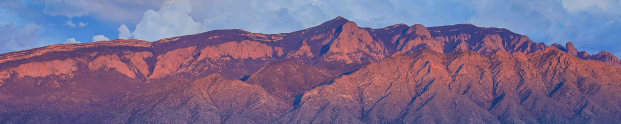 Cover for Estelene (Stevens) Ladd's Obituary