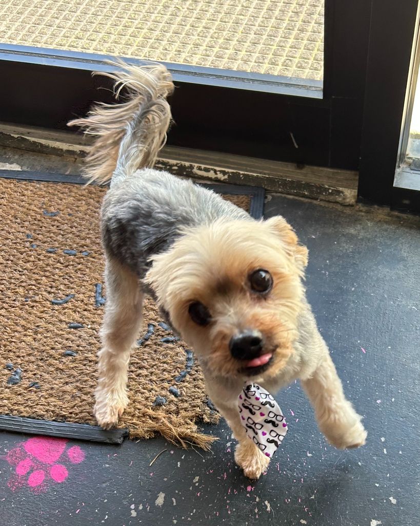 BumbleBee Profile Photo