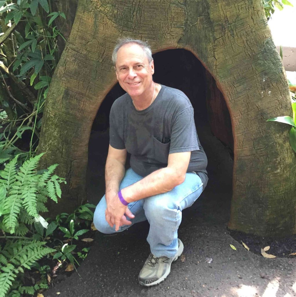 Michael Bisceglia Profile Photo