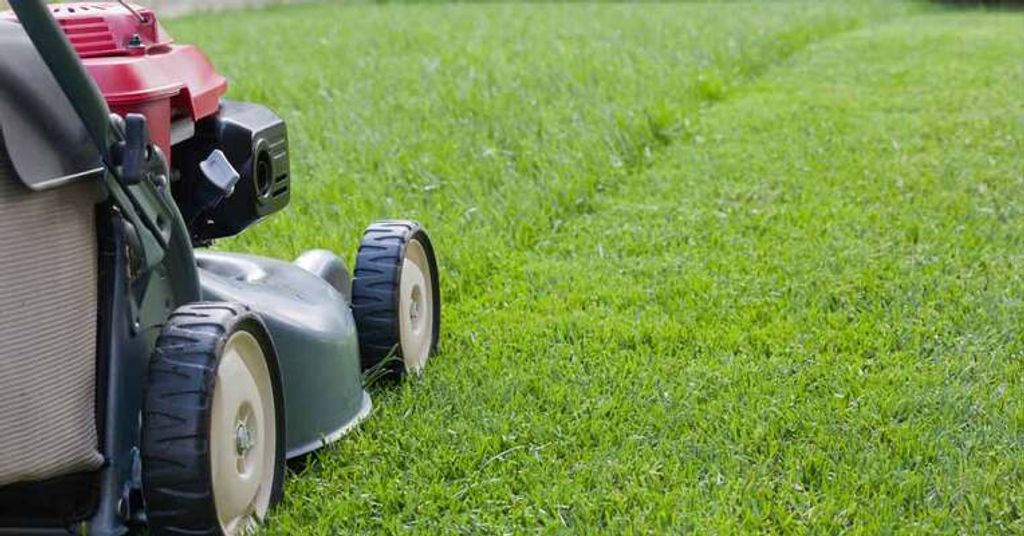 Mowing Notice Profile Photo