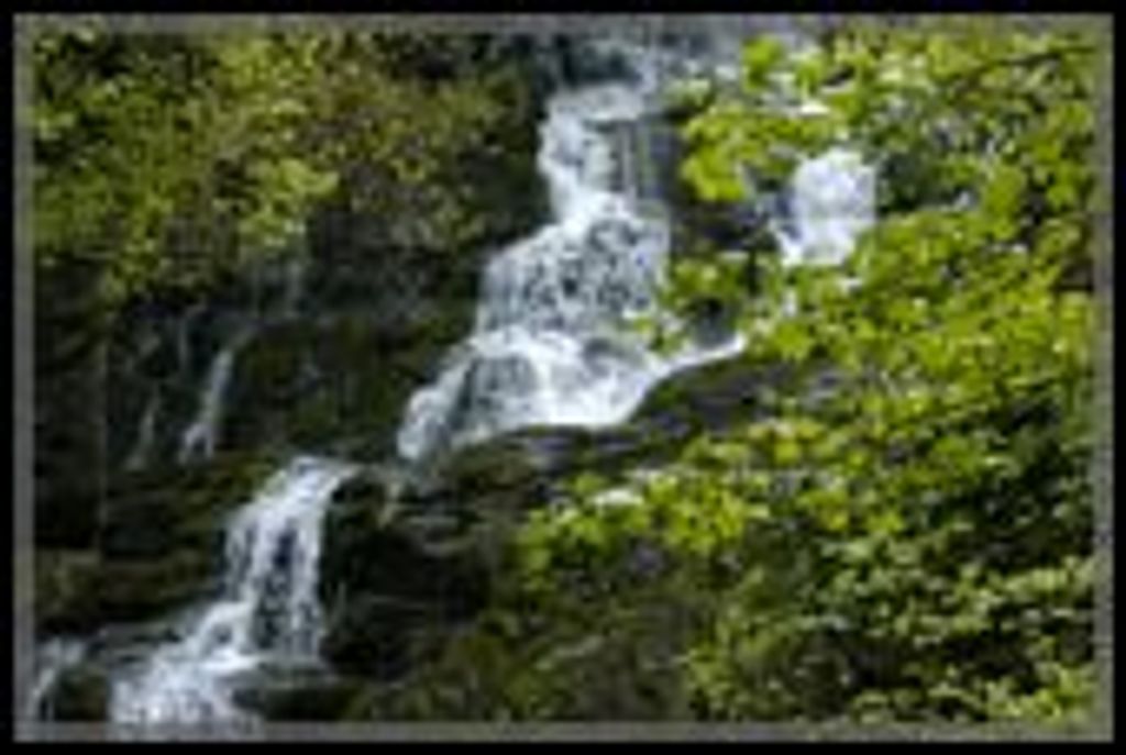 Kevin M. Mcmillan Profile Photo