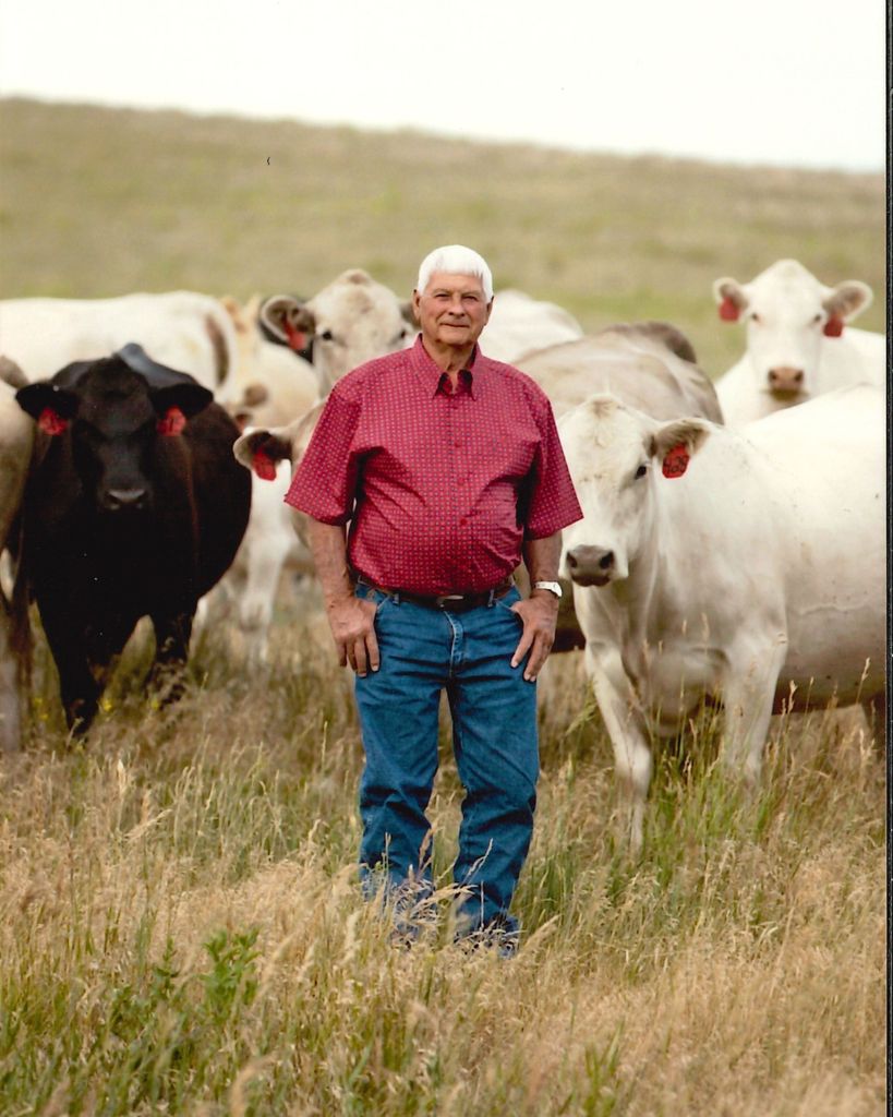 Ray Taylor Profile Photo
