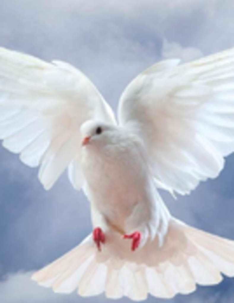 Celerino Salvador Quintero