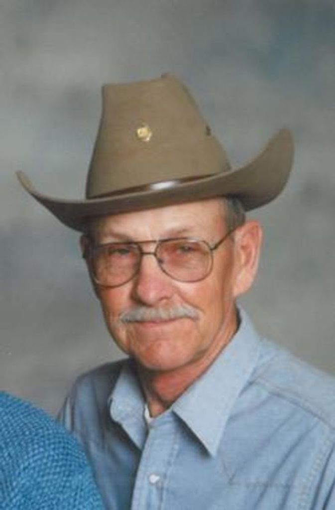 Roger Harold Vik