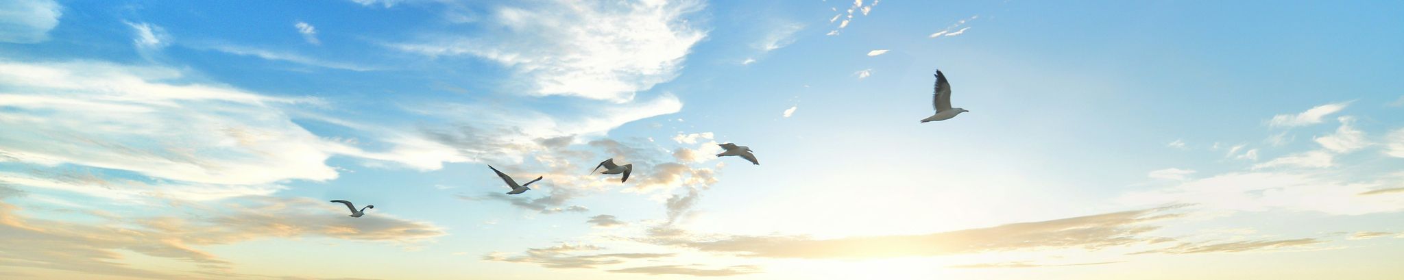 Cover photo for Lisha Jo Gillikin's Obituary