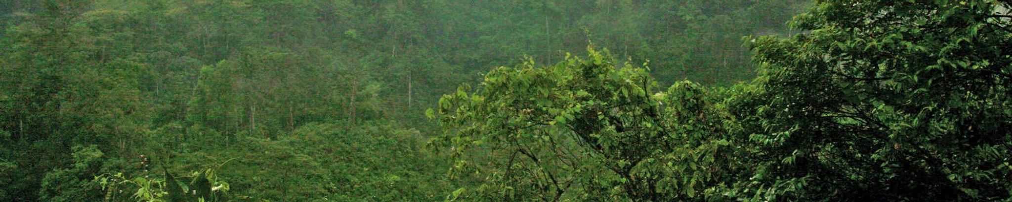 Cover for Richard Emmanuel Joseph Seivert's Obituary