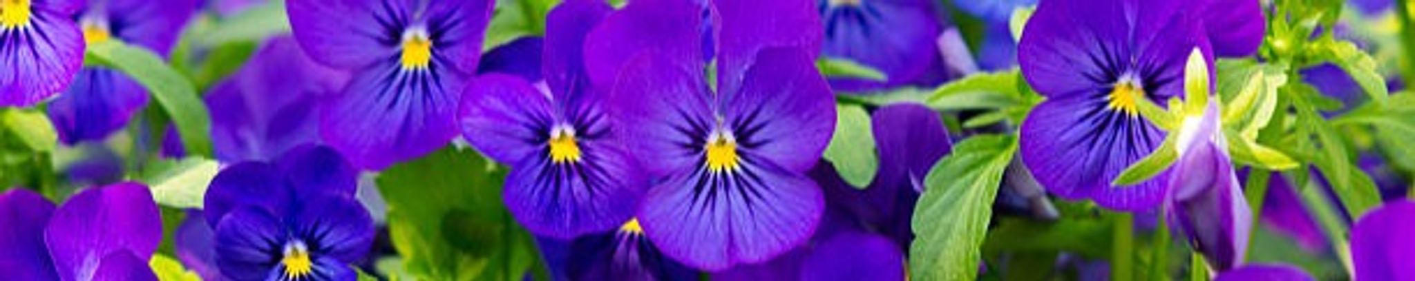 Cover photo for Marilyn Berry's Obituary