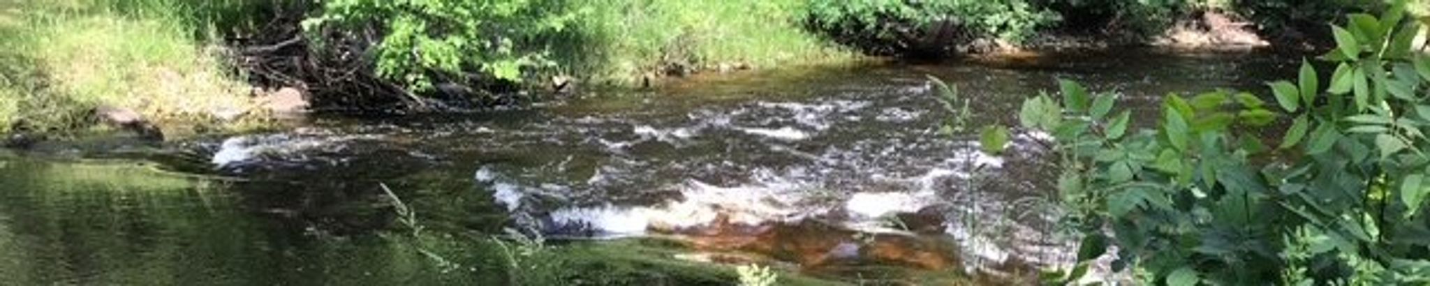 Cover for Hector George Piette's Obituary