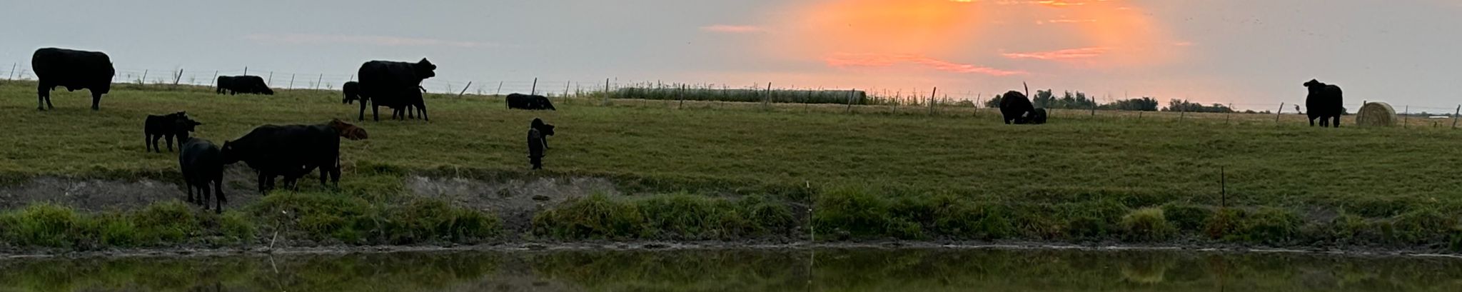 Cover for Gregory Gerig's Obituary