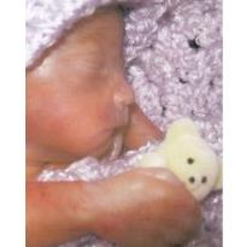 Jaiden Raine Sprague