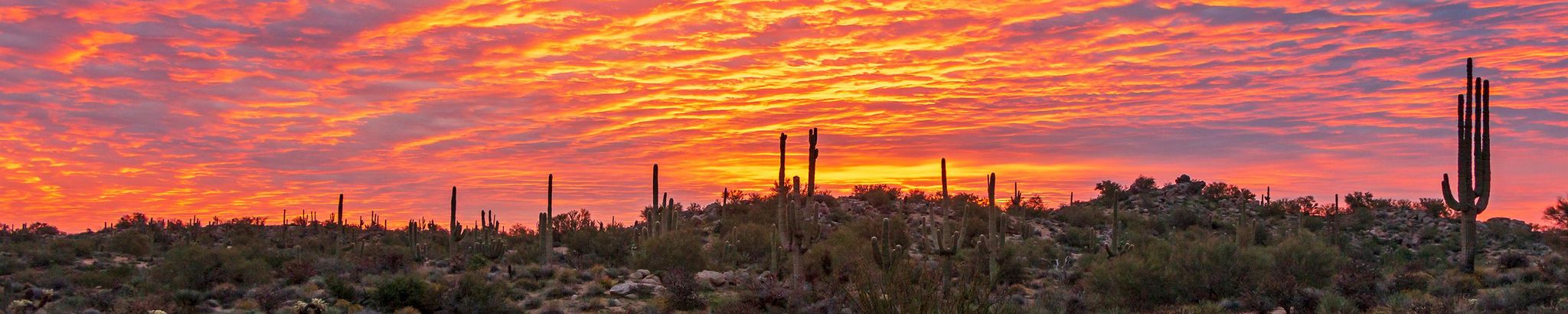 Cover for Roy L. Hauswirth's Obituary