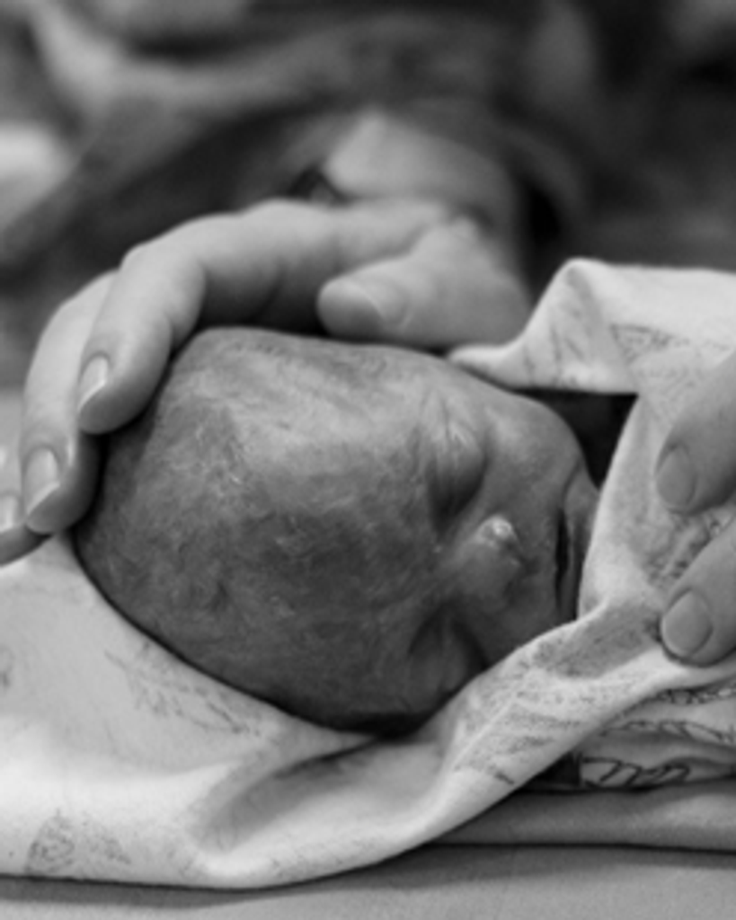 Frances Fillatre Profile Photo