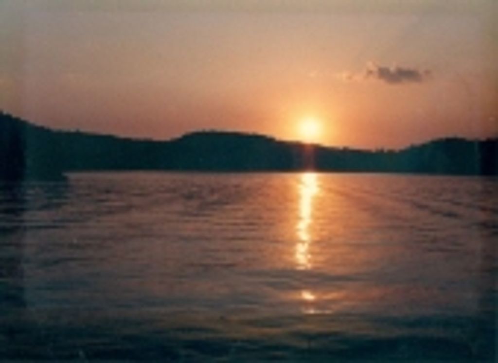 Mark D. Hull