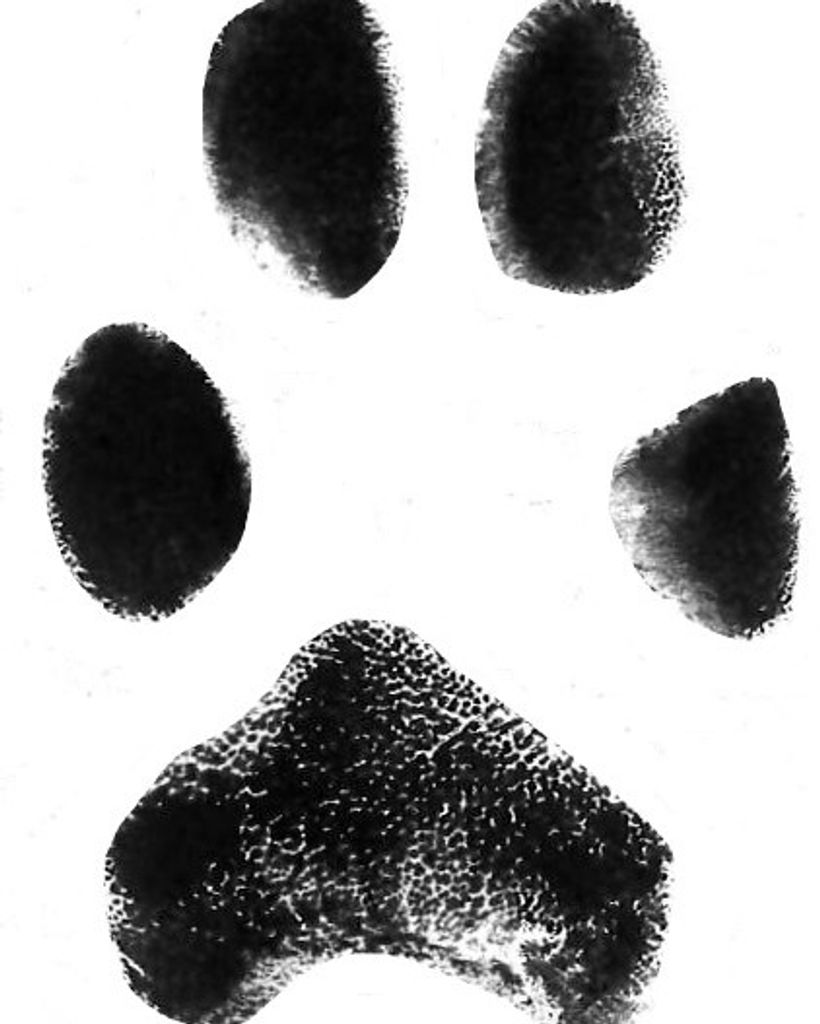 Maggie Yoder Profile Photo