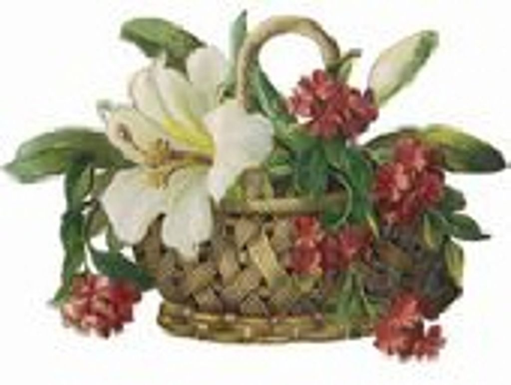 Charlene Debs Schneider