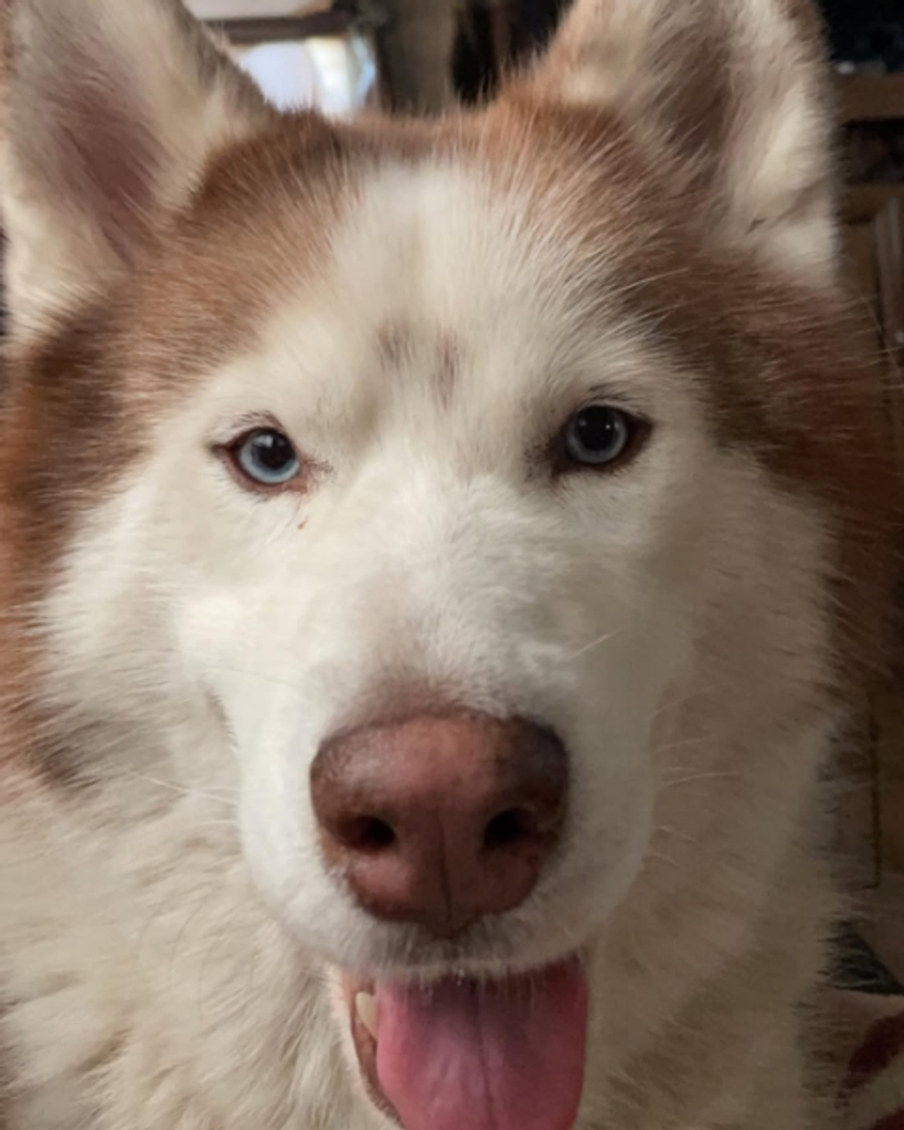 Kronus Profile Photo