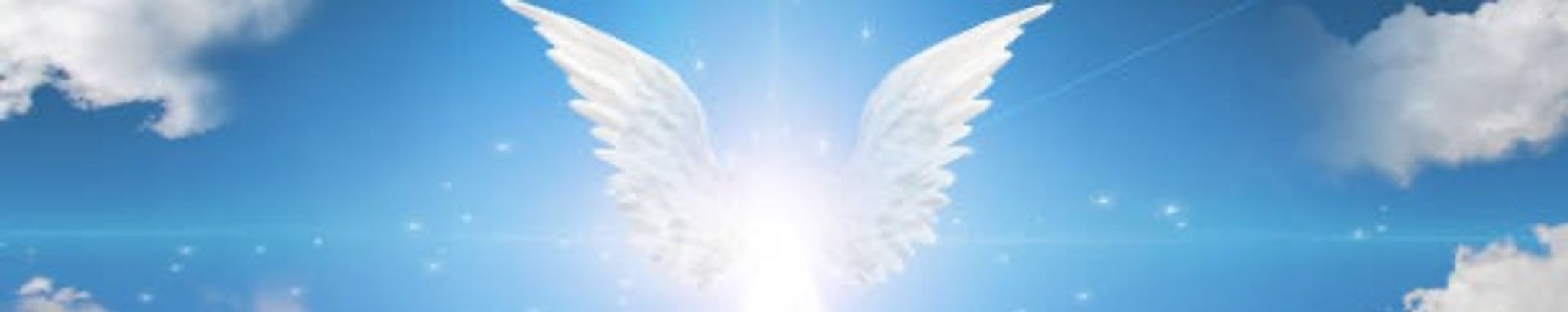 Cover photo for Kim Thompson's Obituary