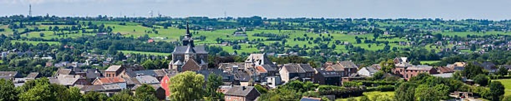 Cover for Roger J. Van Laer's Obituary