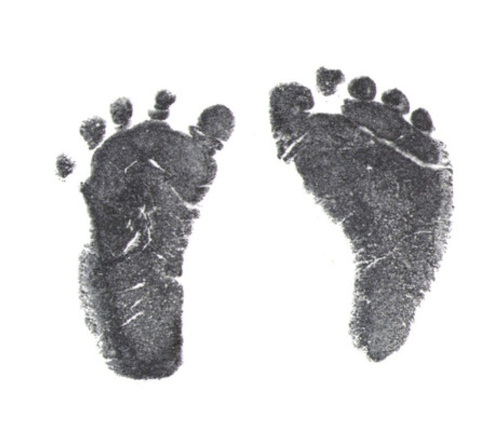 Troy Brown Profile Photo