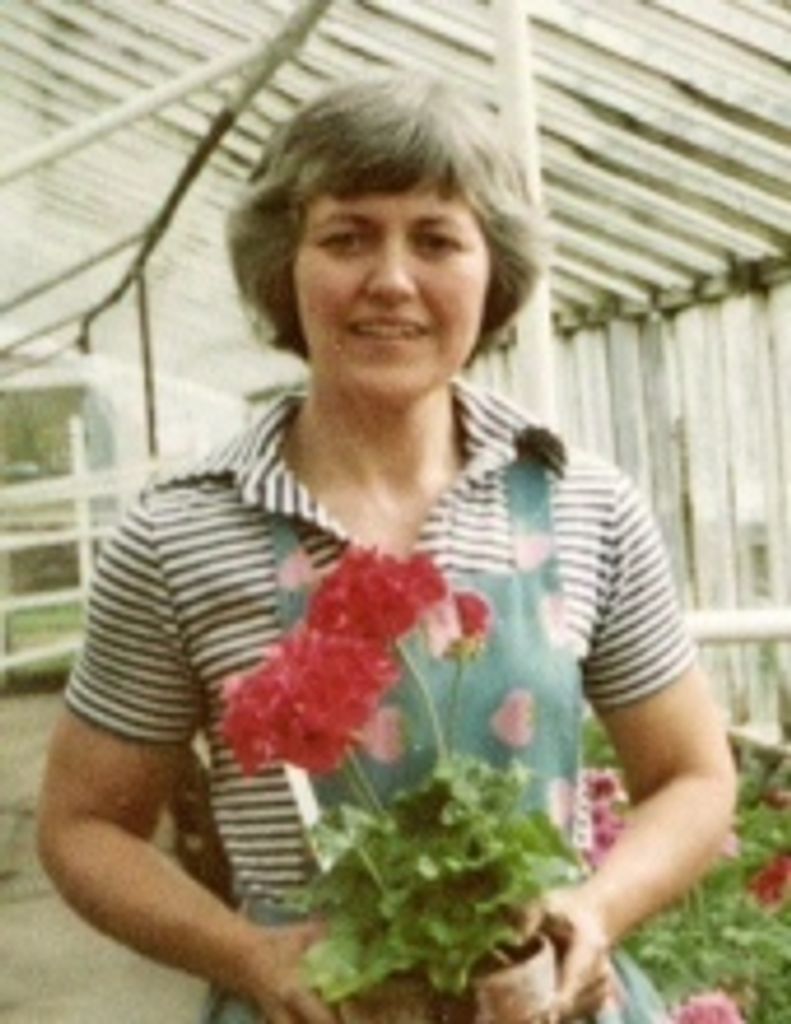 Anne Davis Meyer
